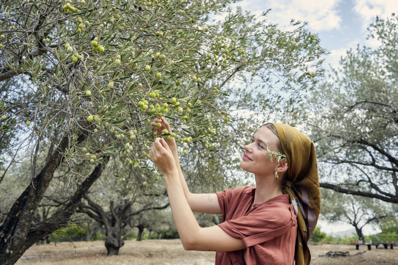 Young woman picking olives at an olive orchard in Rhodes