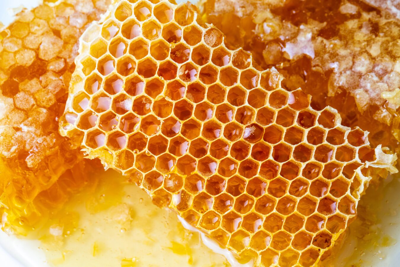 Close up honeycomb dripping with golden honey, illustrating the traditional honey of Rhodes and the island's beekeeping heritage.